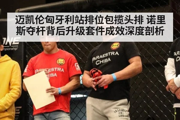 迈凯伦匈牙利站排位包揽头排 诺里斯夺杆背后升级套件成效深度剖析